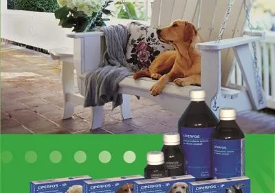 Ciperfos – Animal y Ambiente libre de insectos