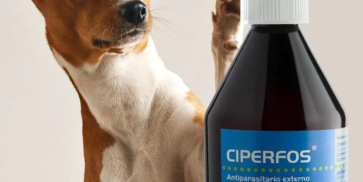 Ciperfos – Antiparasitario Externo de Efecto Residual