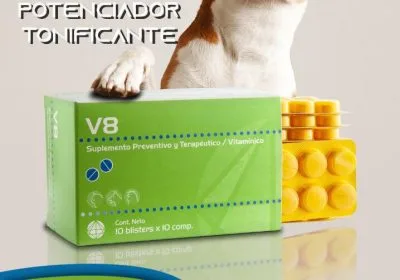 V8 – Energizante / Potenciador / Tonificante