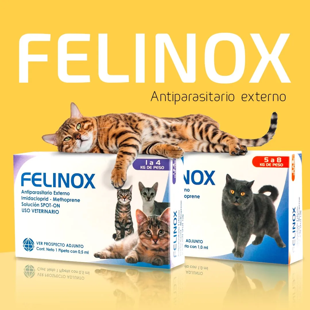 Felinox de 5 a 8 Kg